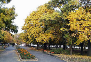 Сквер возле памятника Петру Первому