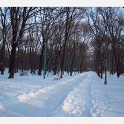 Зима в Таганроге
